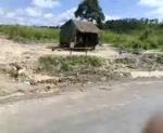 Cambodian Farmers House